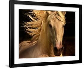 Kieto II-Tony Stromberg-Framed Photographic Print