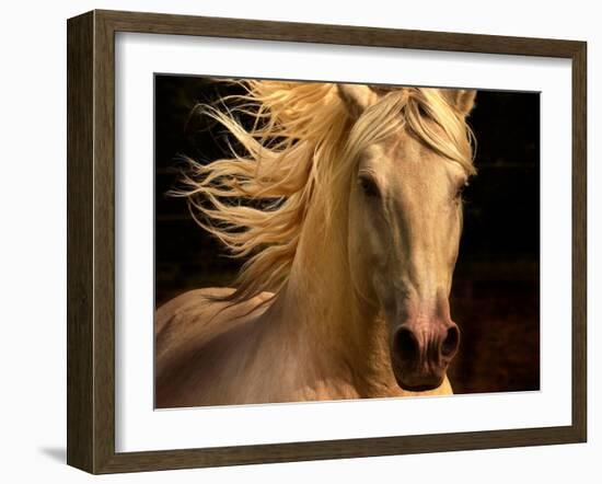 Kieto II-Tony Stromberg-Framed Photographic Print