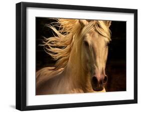 Kieto II-Tony Stromberg-Framed Photographic Print