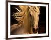 Kieto II-Tony Stromberg-Framed Photographic Print