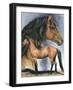 Kiger Mustang-Barbara Keith-Framed Giclee Print