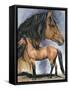 Kiger Mustang-Barbara Keith-Framed Stretched Canvas