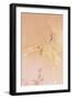 Kihaku 12961 Crop 1-Haruyo Morita-Framed Art Print