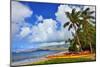 Kihei Beach, Island of Maui, Hawaii, USA-null-Mounted Art Print