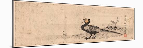 Kiji, Pheasant. Print Shows a Pheasant Facing Left-null-Mounted Giclee Print