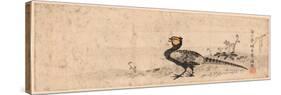 Kiji, Pheasant. Print Shows a Pheasant Facing Left-null-Stretched Canvas