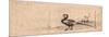 Kiji, Pheasant. Print Shows a Pheasant Facing Left-null-Mounted Giclee Print