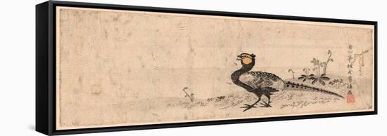 Kiji, Pheasant. Print Shows a Pheasant Facing Left-null-Framed Stretched Canvas