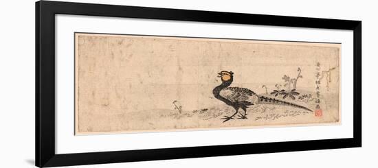 Kiji, Pheasant. Print Shows a Pheasant Facing Left-null-Framed Premium Giclee Print