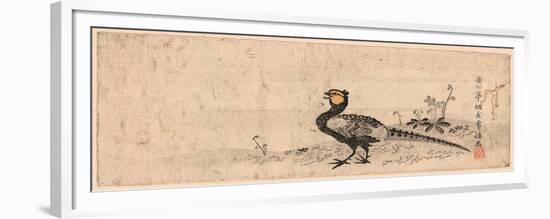 Kiji, Pheasant. Print Shows a Pheasant Facing Left-null-Framed Premium Giclee Print