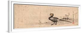 Kiji, Pheasant. Print Shows a Pheasant Facing Left-null-Framed Premium Giclee Print