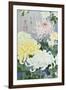 Kiku 12962 Crop 1-Haruyo Morita-Framed Art Print