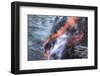 Kilauea lava flow near former town of Kalapana, Big Island, Hawaii, USA-Stuart Westmorland-Framed Photographic Print