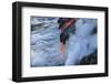 Kilauea lava flow near former town of Kalapana, Big Island, Hawaii, USA-Stuart Westmorland-Framed Photographic Print