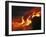 Kilauea Lava Flow Sea Entry, Big Island, Hawaii-null-Framed Premium Photographic Print