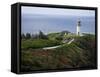 Kilauea Lighthouse, Kauai, Hawaii, USA-Charles Sleicher-Framed Stretched Canvas