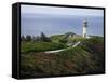 Kilauea Lighthouse, Kauai, Hawaii, USA-Charles Sleicher-Framed Stretched Canvas