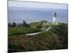 Kilauea Lighthouse, Kauai, Hawaii, USA-Charles Sleicher-Mounted Photographic Print