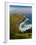 Kilauea Lighthouse, Kauai, Hawaii, USA-Fred Lord-Framed Photographic Print