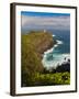 Kilauea Lighthouse, Kauai, Hawaii, USA-Fred Lord-Framed Photographic Print