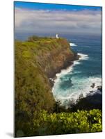 Kilauea Lighthouse, Kauai, Hawaii, USA-Fred Lord-Mounted Photographic Print