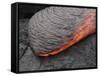 Kilauea Pahoehoe Lava Flow, Big Island, Hawaii-null-Framed Stretched Canvas