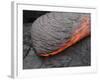 Kilauea Pahoehoe Lava Flow, Big Island, Hawaii-null-Framed Photographic Print