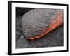 Kilauea Pahoehoe Lava Flow, Big Island, Hawaii-null-Framed Photographic Print