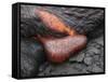 Kilauea Pahoehoe Lava Flow, Big Island, Hawaii-null-Framed Stretched Canvas