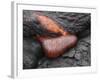 Kilauea Pahoehoe Lava Flow, Big Island, Hawaii-null-Framed Photographic Print