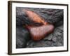 Kilauea Pahoehoe Lava Flow, Big Island, Hawaii-null-Framed Photographic Print