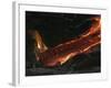 Kilauea Pahoehoe Lava Flow, Big Island, Hawaii-null-Framed Photographic Print