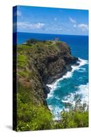 Kilauea Point National Wildlife Refuge-Michael Runkel-Stretched Canvas