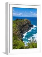 Kilauea Point National Wildlife Refuge-Michael Runkel-Framed Photographic Print