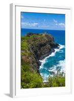 Kilauea Point National Wildlife Refuge-Michael Runkel-Framed Photographic Print