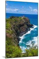 Kilauea Point National Wildlife Refuge-Michael Runkel-Mounted Photographic Print