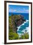 Kilauea Point National Wildlife Refuge-Michael Runkel-Framed Photographic Print