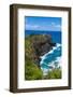 Kilauea Point National Wildlife Refuge-Michael Runkel-Framed Photographic Print