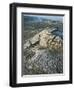 Kilauea Volcano Crater Showing Solidified Ropy Lava Called Pahoehoe, the Big Island, Hawaii, USA-Geoff Renner-Framed Photographic Print