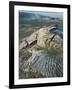 Kilauea Volcano Crater Showing Solidified Ropy Lava Called Pahoehoe, the Big Island, Hawaii, USA-Geoff Renner-Framed Photographic Print