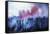 Kilauea Volcano Erupting-null-Framed Stretched Canvas