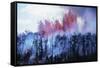 Kilauea Volcano Erupting-null-Framed Stretched Canvas