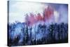 Kilauea Volcano Erupting-null-Stretched Canvas