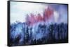 Kilauea Volcano Erupting-null-Framed Stretched Canvas