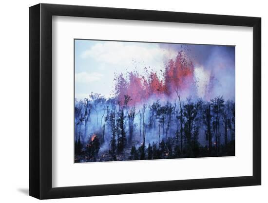 Premium Photographic Print, , large