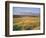 Kilconquhar Loch, 2007-Peter Breeden-Framed Giclee Print