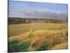 Kilconquhar Loch, 2007-Peter Breeden-Stretched Canvas