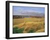 Kilconquhar Loch, 2007-Peter Breeden-Framed Giclee Print