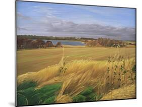 Kilconquhar Loch, 2007-Peter Breeden-Mounted Giclee Print