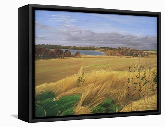 Kilconquhar Loch, 2007-Peter Breeden-Framed Stretched Canvas